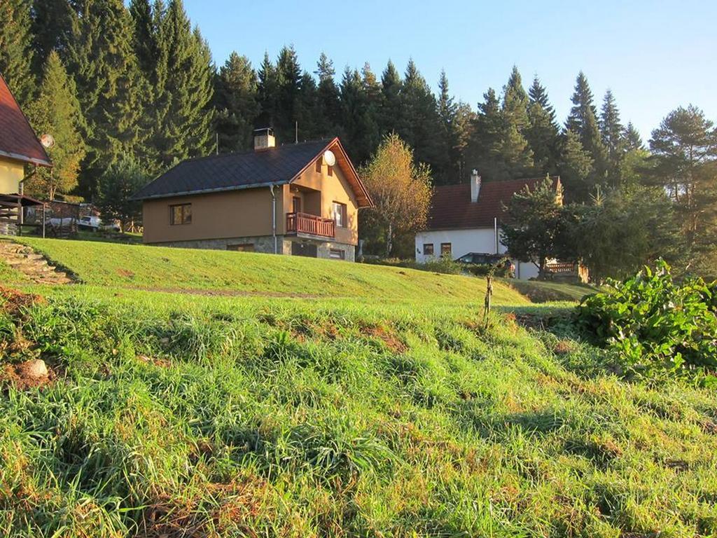 Chata Ostruzina 10+2 Lipno nad Vltavou Extérieur photo